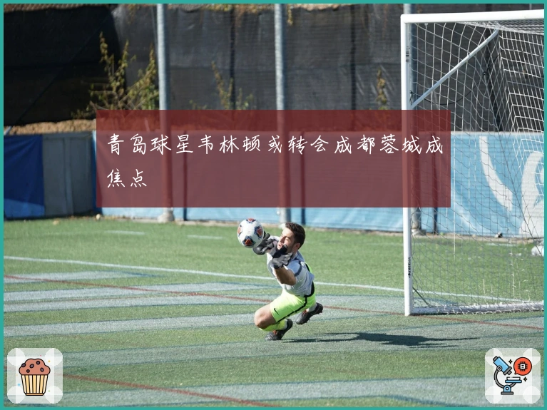 青岛球星韦林顿或转会成都蓉城成焦点
