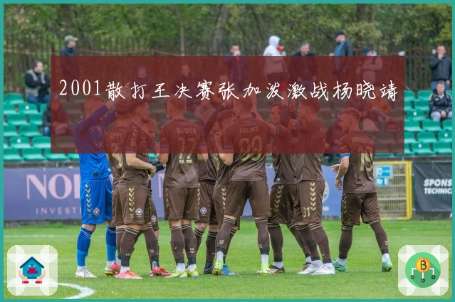 2001散打王决赛张加泼激战杨晓靖